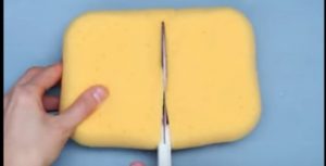 cutting-sponge