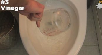 Как быстро почистить туалет?