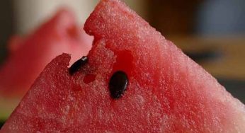 4 причины, по которым вы никогда не должны выбрасывать семена арбуза!