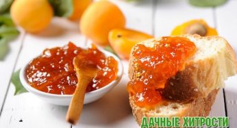 Кофейные абрикосы — изысканная сладость!