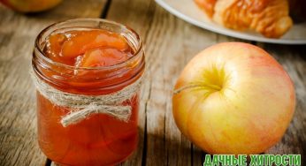 Яблочное варенье с апельсиновыми корочками и секретным ингредиентом!
