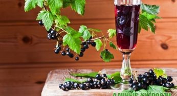 Идеальное Домашнее вино из черной смородины