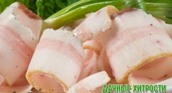 Обалденный РАССОЛ для Сала «Пальчики Оближешь»