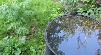 Чтобы полные воды бочки не треснули зимой